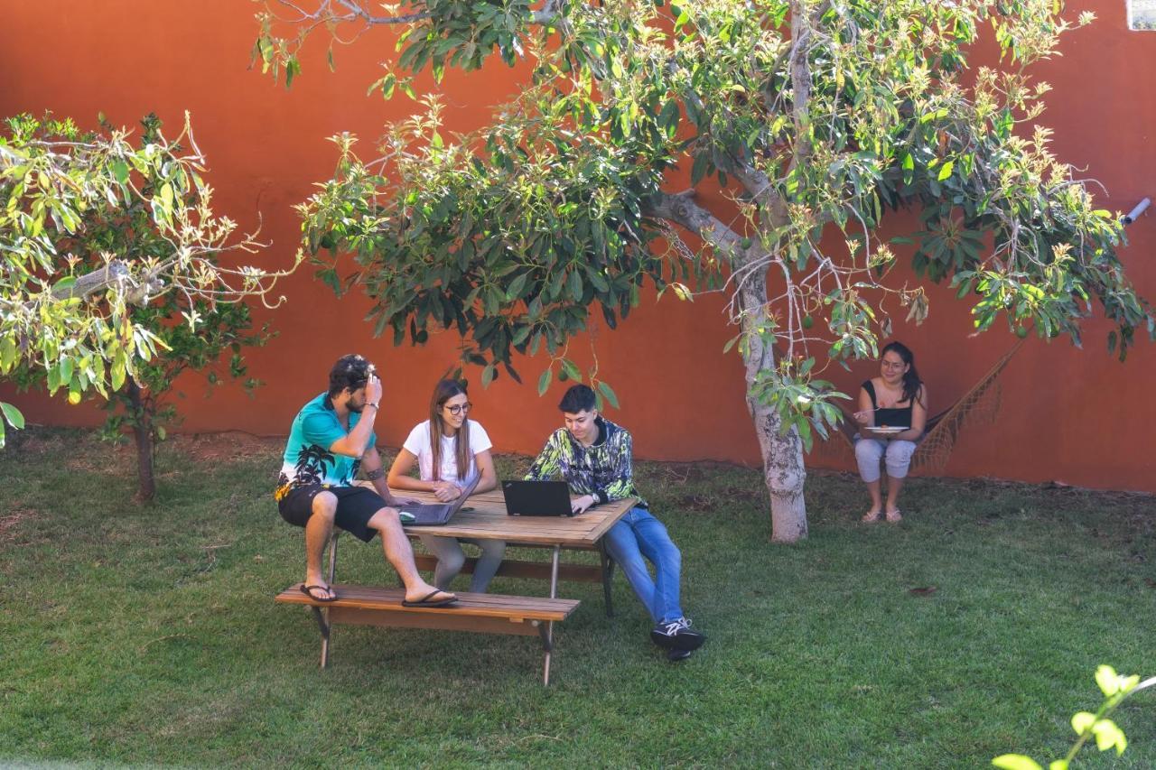 Cactus Coliving & Coworking Bed & Breakfast Arona  Exterior photo